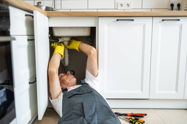 Best Sprinkler Systems  in Versailles, MO